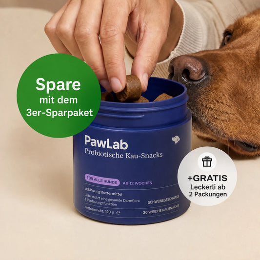 Probiotische Kau-Snacks für Hunde