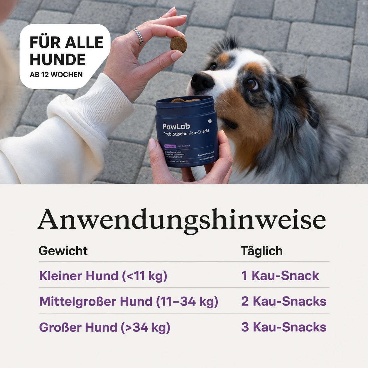 Probiotische Kau-Snacks für Hunde