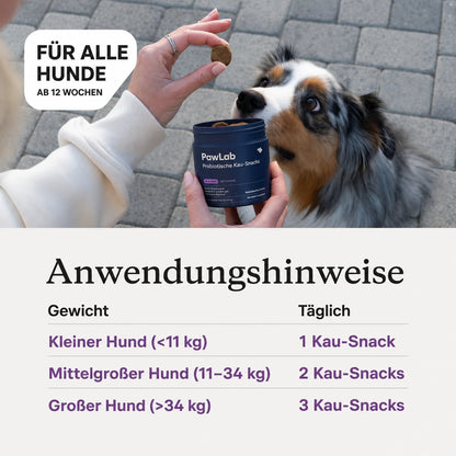 Probiotische Kau-Snacks für Hunde